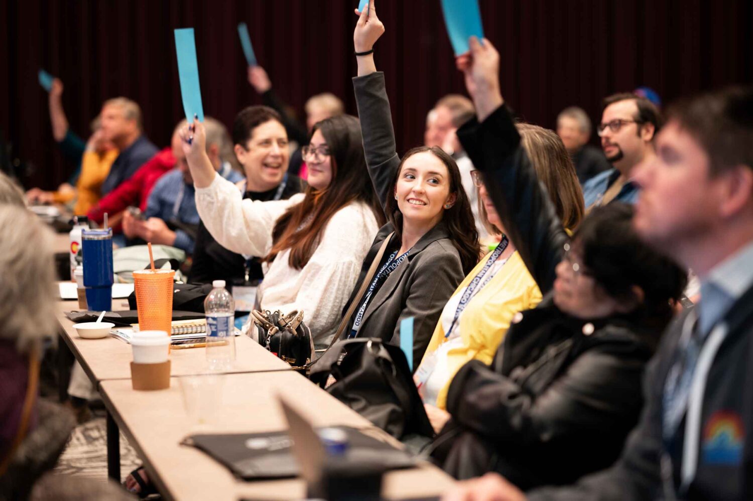 Voting Metropolitan Chicago Synod Assembly